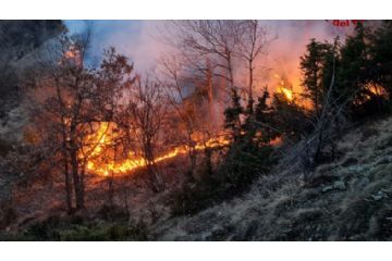 Dichiarazione dello stato di massima pericolosità per gli incendi boschivi su tutto il territorio regionale